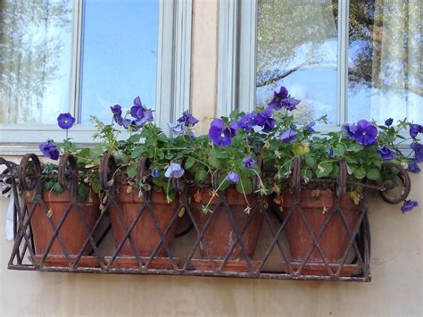 adjustable flower metal window box planter|wrought iron window boxes.